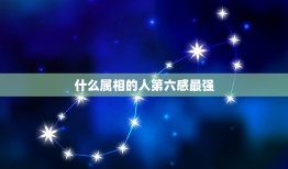 什么属相的人第六感最强，什么星座的第六感最准、最强？