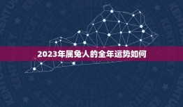 2023年属兔人的全年运势如何(好运连连事业顺利)