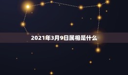 2021年3月9日属相是什么，1965年农历3月9日出生人在2021年