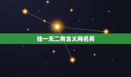 独一无二有含义网名男，独一无二的单字名字男