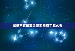 属相不宜摆放金蟾家里有了怎么办，金蟾适合什么属相