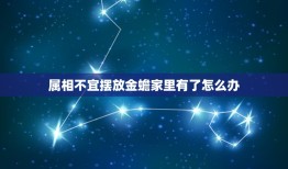 属相不宜摆放金蟾家里有了怎么办，金蟾适合什么属相