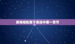 属相相配属于易经中哪一章节，易经中的属相是指生年，还是指生日那天？