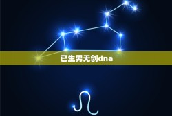 已生男无创dna，无创dna如何看出是男孩还是女孩