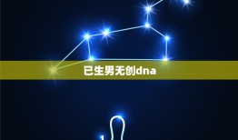 已生男无创dna，无创dna如何看出是男孩还是女孩