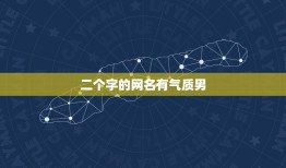 二个字的网名有气质男，男的网名简单气质2个字