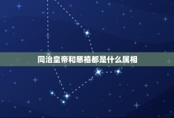 同治皇帝和慈禧都是什么属相，解密:同治和慈禧是什么关系