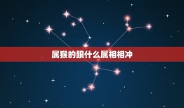 属猴的跟什么属相相冲，属猴的人与哪些属相相生相克？