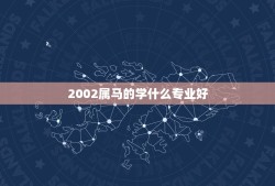 2002属马的学什么专业好，属马男孩学什么好