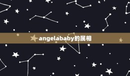 angelababy的属相，angelababy属什么