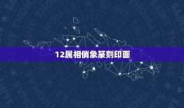 12属相俏象篆刻印面，篆刻中“分朱布白”指的是印面的什么？印章字序有哪