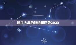 属牛今年的财运和运势2023，属龙人今年的财运和运势