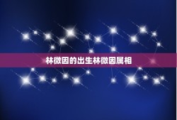 林微因的出生林微因属相，林徽因几时出生