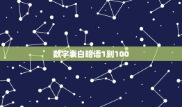 数字表白暗语1到100，数字暗语表白1743