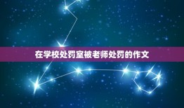 在学校处罚室被老师处罚的作文，在教室里吵闹被罚的作文