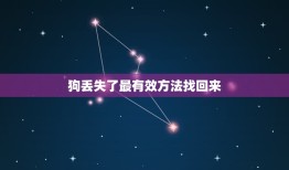 狗丢失了最有效方法找回来，狗丢了最有效方法找回来