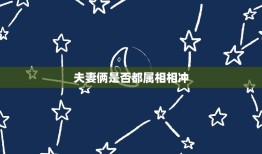 夫妻俩是否都属相相冲，夫妻属相相冲，是不是不好，有没有属相相冲的夫妻，