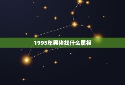 1995年男猪找什么属相，95年属猪的和什么属相最配