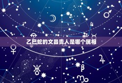 乙巳蛇的文昌贵人是哪个属相，2o01年属蛇生人他的属相天乙贵人这是什么