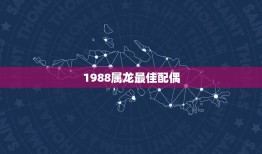 1988属龙配偶(如何选择最适合你的伴侣)