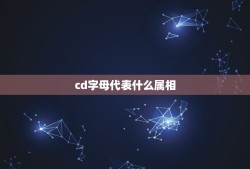 cd字母代表什么属相，CD字母代表什么生肖