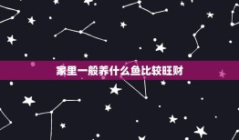 家里一般养什么鱼比较旺财，在家里养什么鱼比较聚财？一般养几条的？