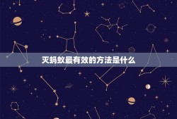 灭蚂蚁最有效的方法是什么？灭蚂蚁最有效的方法