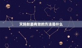 灭蚂蚁最有效的方法是什么？灭蚂蚁最有效的方法