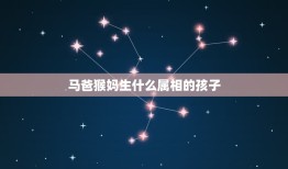 马爸猴妈生什么属相的孩子，属蛇的爸爸 妈妈属猴要什么生肖的宝宝好