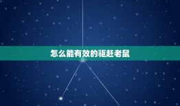 怎么能有效的驱赶老鼠(适用方法大介绍)