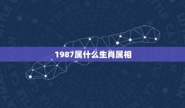 1987属什么生肖属相，1987年的属相是啥？