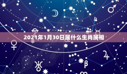 2021年1月30日属什么生肖属相，阳历2021年1月出生身份证上是什