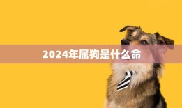 2024年属狗是什么命(解析狗年出生的人运势如何)