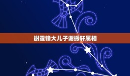 谢霆锋大儿子谢振轩属相，谢霆锋的大儿子为什么叫苏振轩？