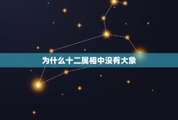 为什么十二属相中没有大象，十二生肖为什么没有大象