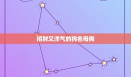 招财又洋气的狗名母狗，狗的名字洋气点带财运的名字有哪些？