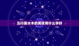 五行属水木的男孩用什么字好，男孩子取名字用五行属水最好的字