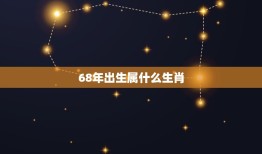 68年出生属什么生肖(你的生肖是什么)