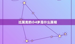 比属龙的小4岁是什么属相，我喜欢一个比我小4岁的女孩我是属龙的她属猴的