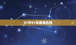 97牛91羊属相合吗，91羊和97牛属相合吗？