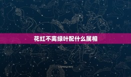 花红不离绿叶配什么属相，红花也需绿叶配猜数字