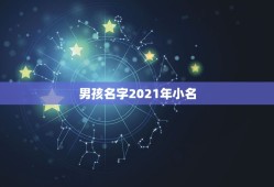 男孩名字2021年小名，2021男孩名字洋气