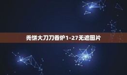 秃饼大刀刀香炉1-27无遮图片，秃饼大刀刀香炉提取码是多少