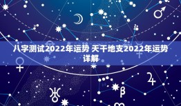 八字测试2022年运势 天干地支2022年运势详解