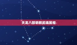 天龙八部明教武魂属相，天龙八部武魂属相是什么克什么？哪种属相比较好？