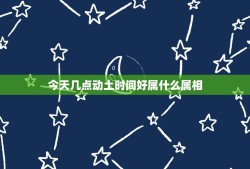 今天几点动土时间好属什么属相，十二生肖各自代表什么时间