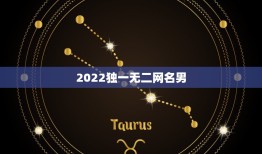 2022独一无二网名男，2023独一无二的qq名男