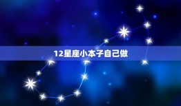 12星座小本子自己做(手工制作星座笔记本记录属于你的星座故事)