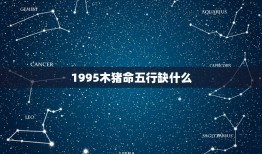 1995木猪命五行缺什么，属猪人五行缺什么？