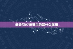 最吸引97年男牛的是什么属相，属牛1997年出生是什么命